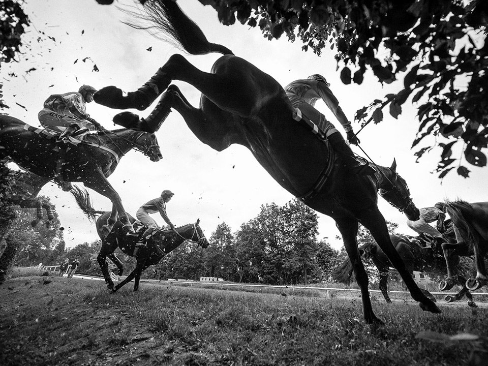 Velká pardubická.Foto Miloš Fic.