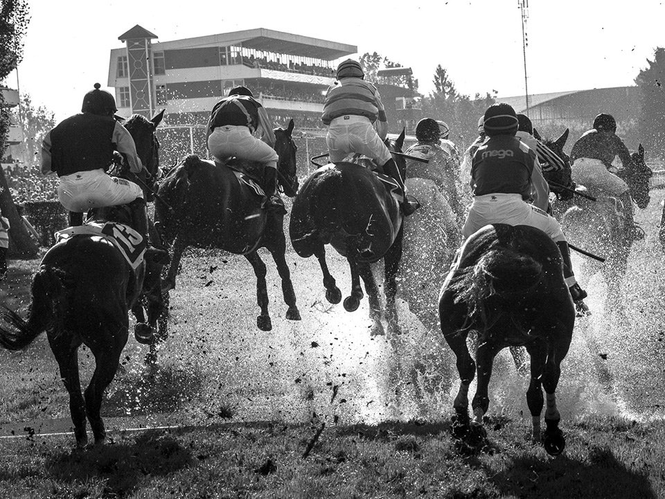 Velká pardubická. Foto Miloš Fic.