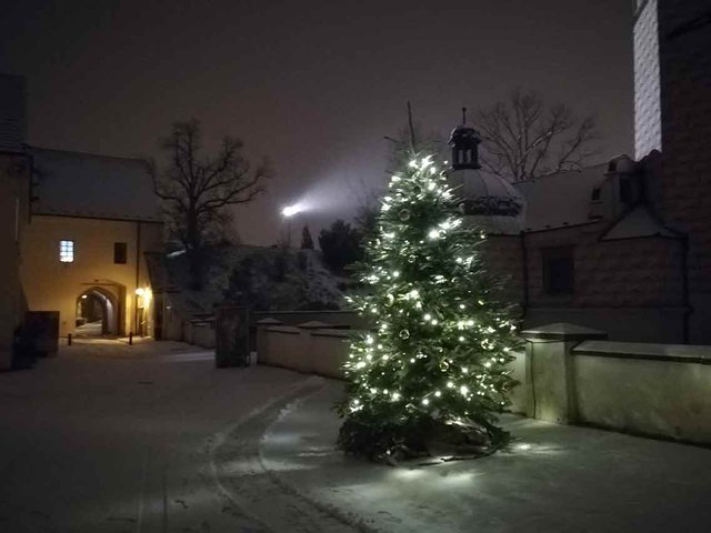 Vánoční strom na velkém nádvoří