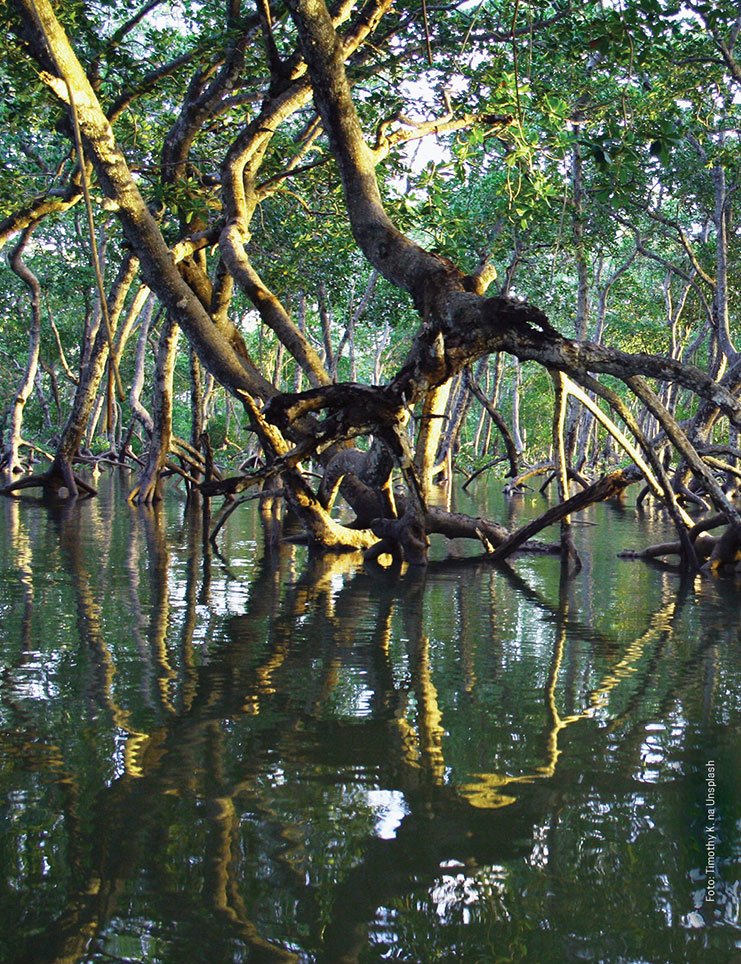 Horké téma: Naše klima, foto Petr Daniš