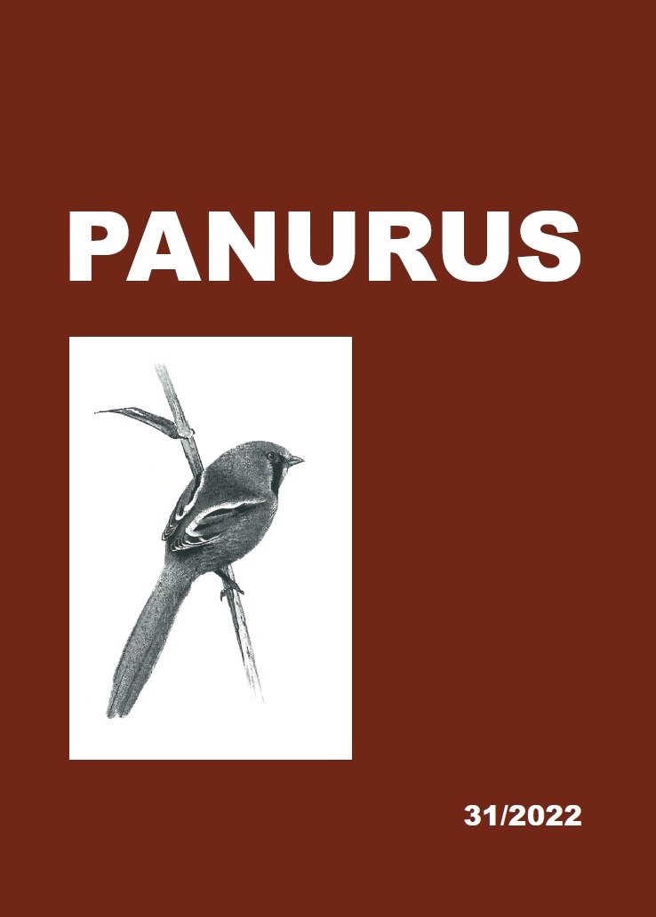 Panurus 31/2022