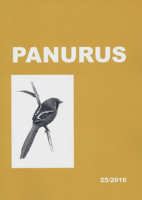 Panurus 25