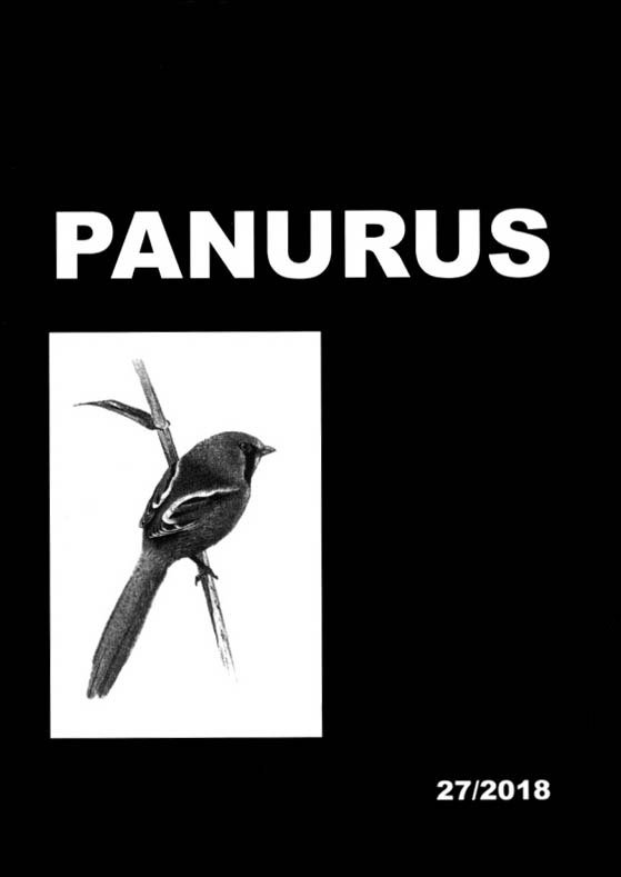 Panurus 27