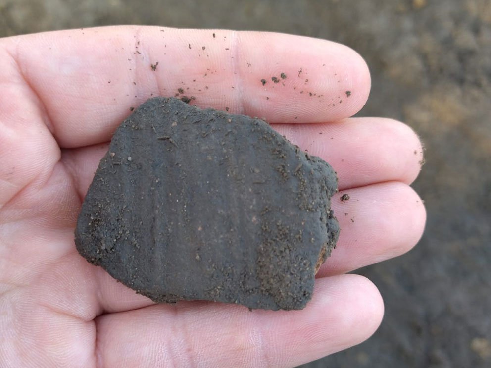 Terénní archeologický výzkum v trase I/36 Sezemice obchvat, zlomek keramické nádoby ze 13. století